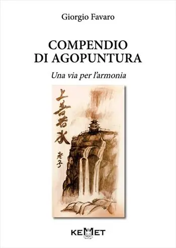 Compendio di agopuntura. Una via per l‘armonia Spedito Oggi