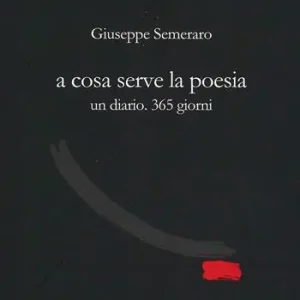 Compra Adesso A cosa serve la poesia. Un diario. 365 giorni