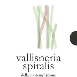 Vallisneria spiralis. Della contemplazione di una pianta acquatica Quantità Limitata