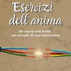 Esercizi dell‘anima. Un cuore che batte nei circuiti di una carrozzina Affare