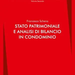Stato patrimoniale e analisi di bilancio in condominio Nuovo Arrivo