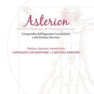 Asterion. Compendio dell‘apparato locomotore e del sistema nervoso. Studiare, ripassare, memorizzare l‘apparato locomotore e il sistema nervoso Bestseller