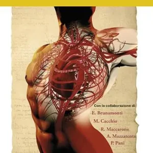 Consegna Rapida Fisiologia umana. Le basi