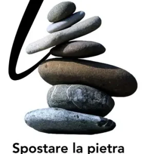 Prezzo Basso Spostare la pietra