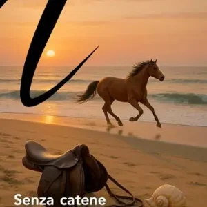 Vendita Finale Senza catene