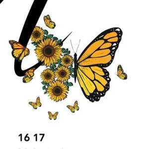 Popolare 16 17