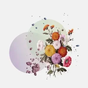 Esclusivo E i sassi e i fiori