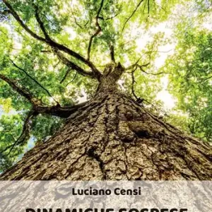 Compra Oggi Stesso Dinamiche sospese
