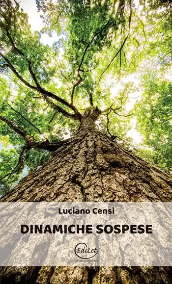 Compra Oggi Stesso Dinamiche sospese
