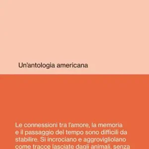 Affare Pollo fritto e disperazione. Un‘antologia americana