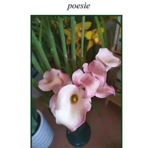 Offerta Del Giorno Da fiore a fiore
