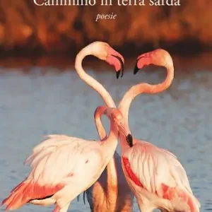 Cammino in terra sarda Prezzo Ridotto