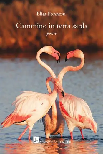 Cammino in terra sarda Prezzo Ridotto