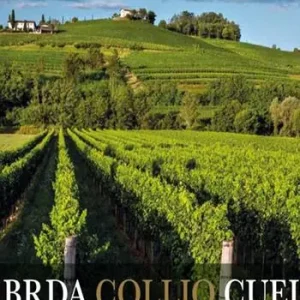 Brda Collio Cuei. Zemlja bez meja. Terra senza confini. Tiere cence cunfins. Ediz. italiana e friulana Spedito Oggi