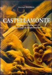 Compra Online Castellamonte. Il passato e il presente di una città in trasformazione