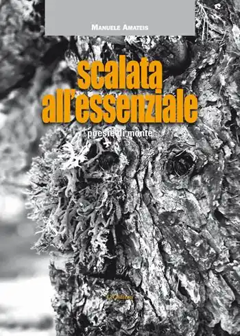 Scalata all‘Essenziale Scelto Dai Clienti