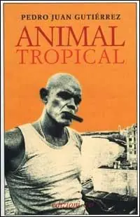 Animal tropical Spedito Oggi