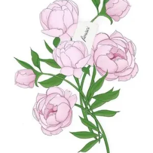 Fiorisci. Quaderno Offerta