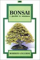 Bonsai e giardini in miniatura Offerta Del Giorno