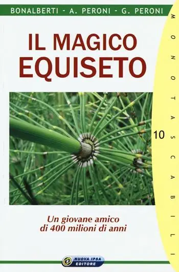 Esclusivo Il magico equiseto. Un giovane amico di 400 milioni di anni