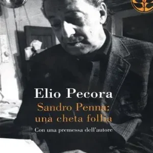 Affare Sandro Penna una cheta follia