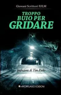 Professionale Troppo buio per gridare