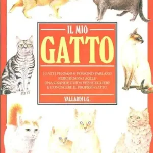 Prezzo Di Fabbrica Il mio gatto