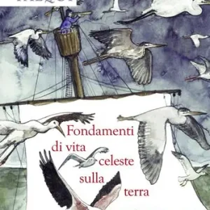 Fondamenti di vita celeste sulla terra Professionale