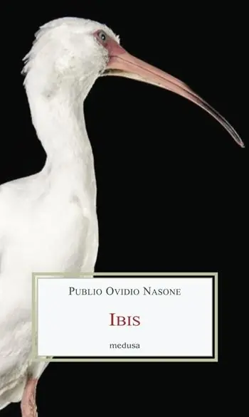 Promo Stagionale Ibis