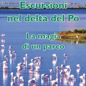 Escursioni nel delta del Po la magia di un parco Must-Have