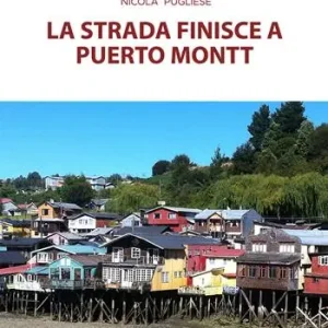 Affare La strada finisce a Puerto Montt
