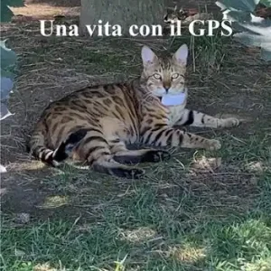 Una vita con il GPS Popolare
