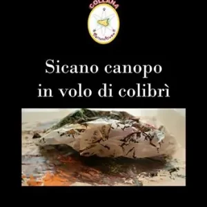 Vendita Finale Sicano canopo in volo di colibrì