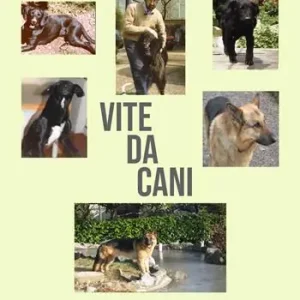 A Buon Prezzo Vite da cani. Sei cani raccontano tutta la loro vita attraverso i propri ricordi ed emozioni