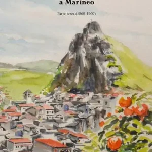 Uomini, risorse, potere e devozione a Marineo. Vol. 3 (1860-1960). Affare