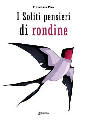 I soliti pensieri di rondine Solo Oggi