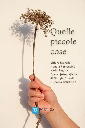 Novità Quelle piccole cose