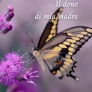 Non Perdere Il dono di mia madre