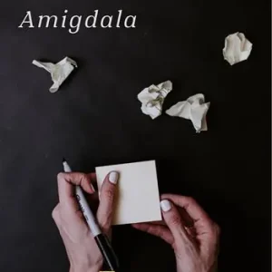 Quantità Limitata Amigdala