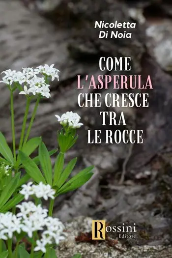 Esclusivo Come l‘asperula che cresce tra le rocce