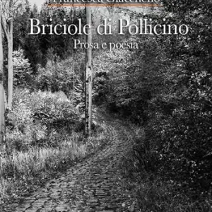 Briciole di Pollicino. Prosa e poesia Miglior Prezzo