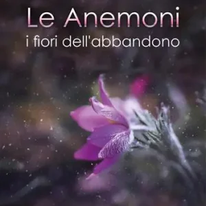 Le anemoni. I fiori dell‘abbandono Occasione Imperdibile