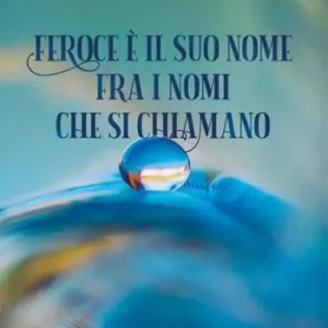 Feroce è il suo nome, fra i nomi che si chiamano Spedito Oggi