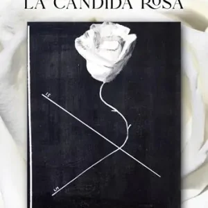 La candida rosa Direttamente Dal Produttore