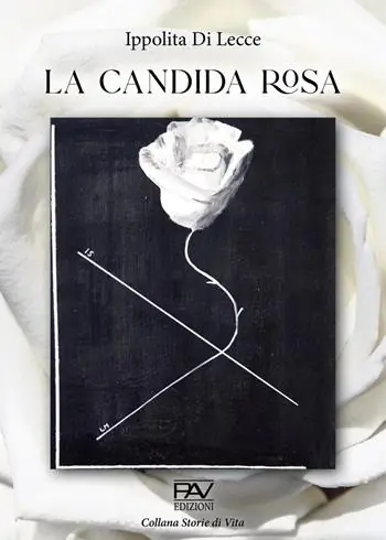 La candida rosa Direttamente Dal Produttore