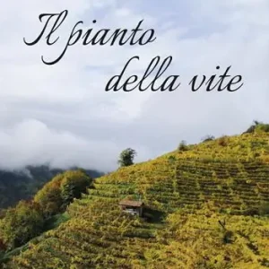 Solo Oggi Il pianto della vite