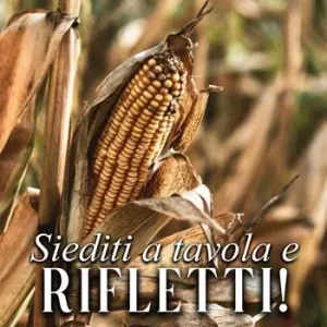 Bestseller Siediti a tavola e rifletti!