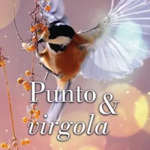 Punto & virgola Professionale