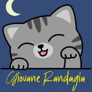 Prezzo Basso Giovane randagia