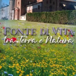 Offerta Limitata Fonte di vita tra terra e natura